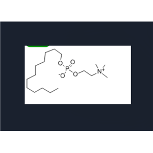十二烷基磷酸膽堿