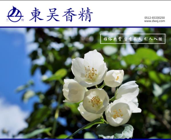 微信圖片_20250219150709.png