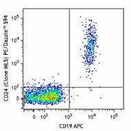 ml5_pedzl594_cd24_antibody.Jpg