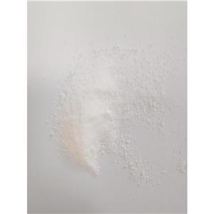 N-羥基丁二N-羥基丁二酰亞胺酰亞胺