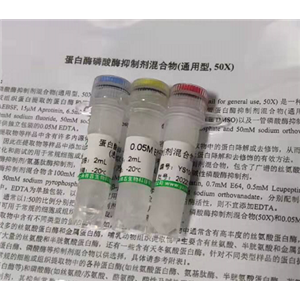 細(xì)胞色素C抗體 IHC0013R