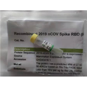 人前列腺特異性抗原單克隆抗體(包被)
