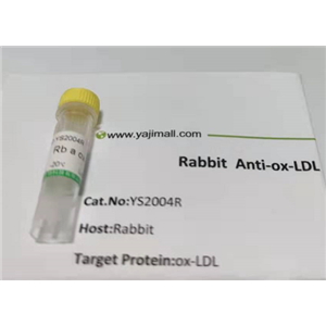 鳥嘌呤核苷酸交換因子GEFT抗體