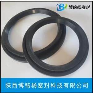 PU聚氨酯耐老化油封氣封O型密封圈VAVSVE圈