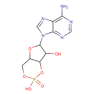 環(huán)磷腺苷 60-92-4   全國(guó)可發(fā) 匠信生物 高純度 可拆分