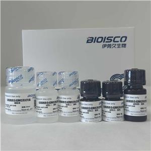 谷氨酰胺合成酶檢測試劑盒  (可見分光50T/24S)