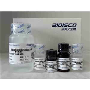 羥自由基清除能力測定試劑盒(微量法100T/96S)