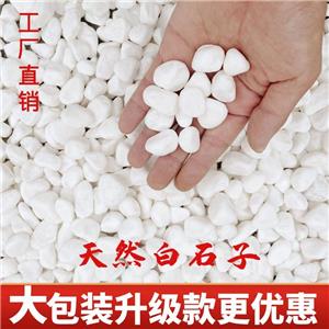 鵝卵石 污水處理  改善水質(zhì)  過(guò)濾吸附  現(xiàn)貨出售