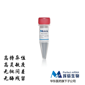RNA酶抑制劑