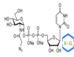 UDP-GlcNAz.