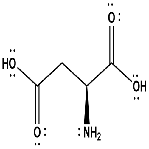 c4h7no4 lewis structure