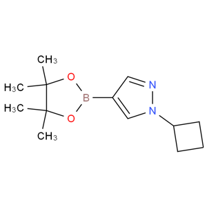 1-環(huán)丁基吡唑-4-硼酸頻哪醇酯