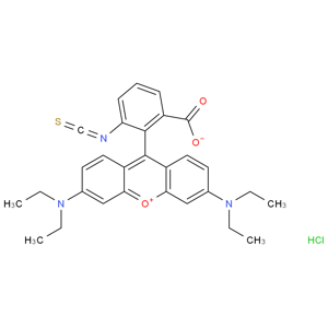 異硫氰酸玫瑰紅B/異硫氰酸羅丹明B/羅丹明B異硫氰酸酯/若丹明B異硫氰酸酯/異硫氰酸若丹明B/RBITC