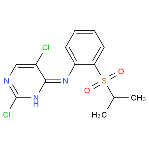 2,5-二氯-N-[2-(異丙基磺酰)苯基]嘧啶-4-胺